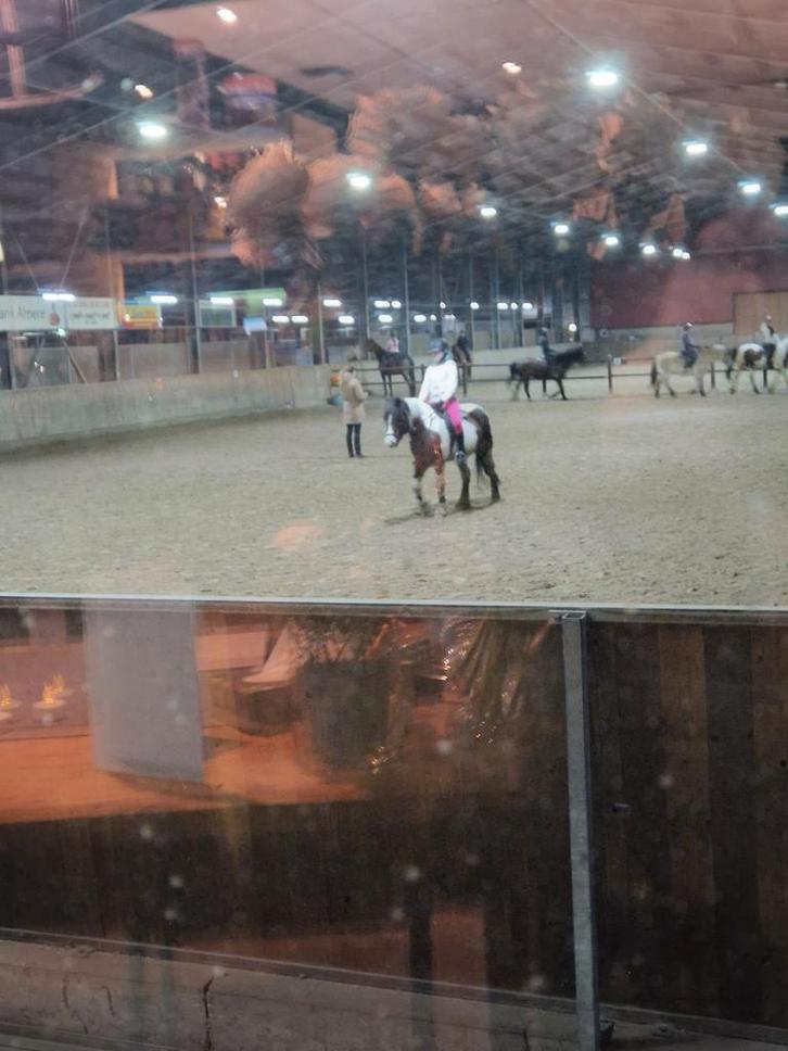 Paarden verzorgen bekijk de beschrijving, Tickets en Kaartjes, Overige Tickets en Kaartjes, Eén persoon