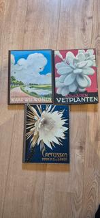 Verkade plaatjes albums, Boeken, Ophalen of Verzenden, Gelezen
