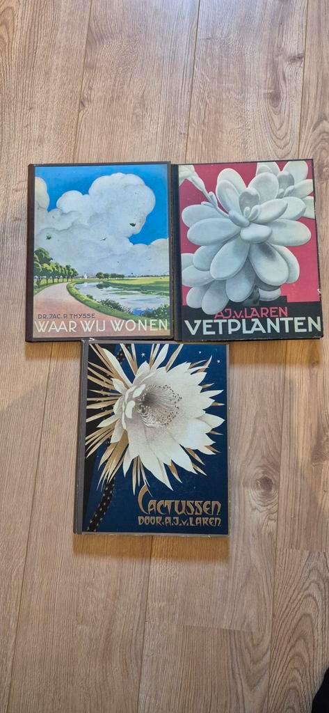 Verkade plaatjes albums, Boeken, Prentenboeken en Plaatjesalbums, Gelezen, Ophalen of Verzenden