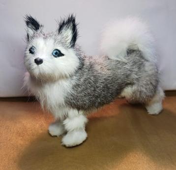 Husky hond gemaakt van  beschikbaar voor biedingen