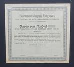 Bouwmaatschappij Ringvaart (Krasnapolsky) Amsterdam 1902, Verzenden, Voor 1920, Aandeel