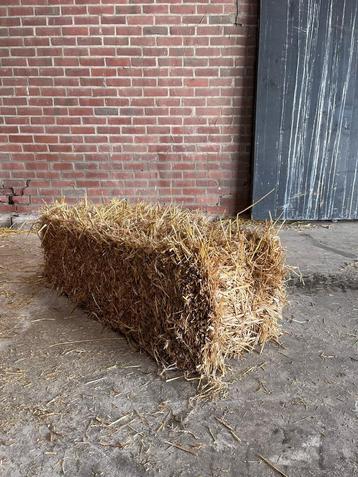 Kleine baaltjes Stro Tarwe stro Stro baaltjes beschikbaar voor biedingen