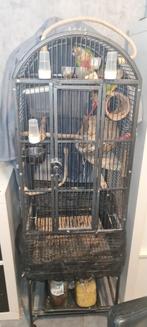 Pyrrhura koppel, Dieren en Toebehoren, Ophalen of Verzenden, Gebruikt, Metaal, Vogelkooi