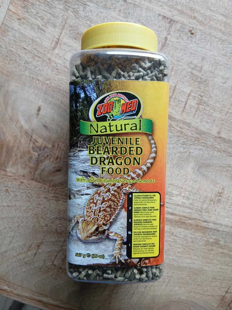 Baardagaam voer Bearded Dragon - unknown for sale from Arian & Larissa