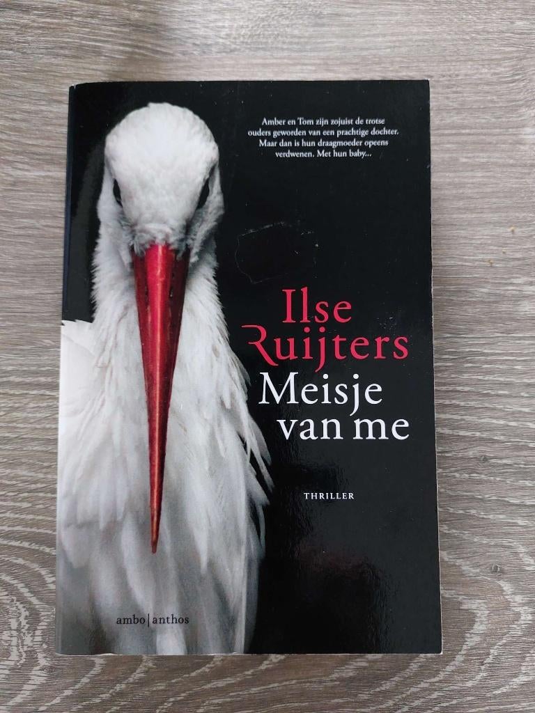 Ilse Ruijters - Meisje van me - 2023, Ophalen of Verzenden, Zo goed als nieuw