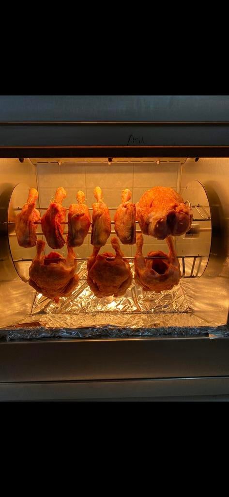 Eurogrill TG100, Witgoed en Apparatuur, Ovens, Ophalen, Gebruikt