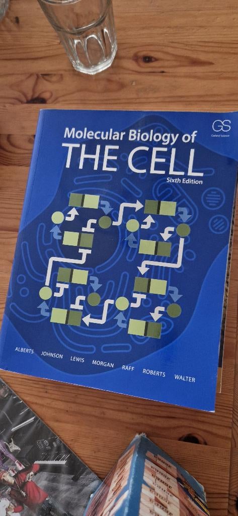 Moleculair biology of the cell boek, Boeken, Studieboeken en Cursussen, Bruce alberts, Nieuw, Ophalen of Verzenden, WO