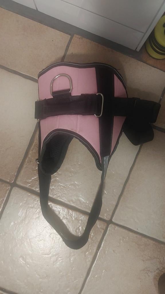 Honden tuig, Ophalen of Verzenden