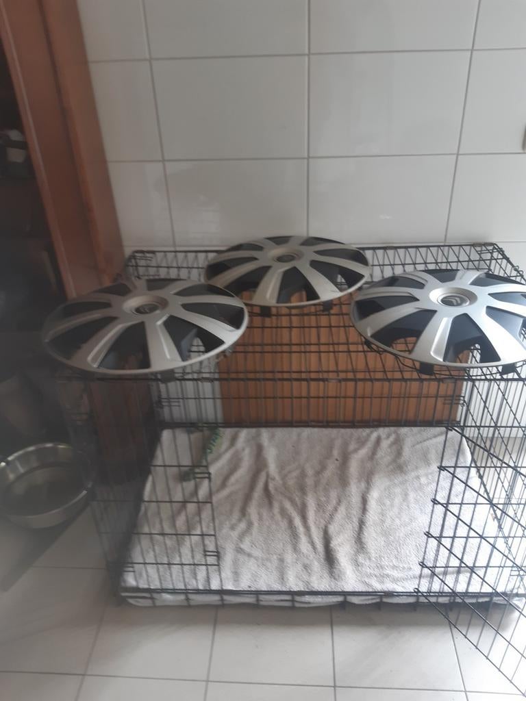 Wieldoppen cietroen, Ophalen of Verzenden, Gebruikt