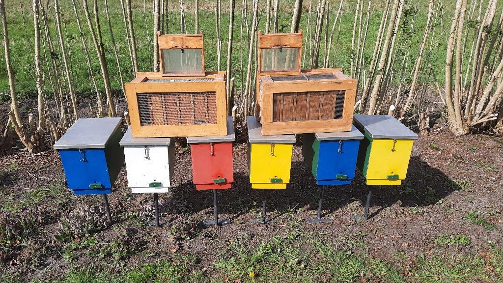 Te Koop Bijenkasten voor koninginnentelers tevens bijenbomen, Bijen
