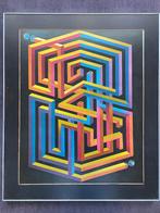 The Bubble Machine Maze van Larry Evans, Ophalen of Verzenden