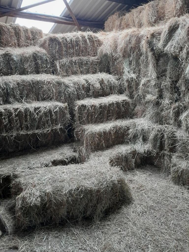 Hooi, Dieren en Toebehoren, Ophalen of Verzenden, Vee