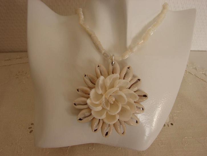 Schelpen ketting + hanger van schelp., Sieraden, Tassen en Uiterlijk, Kettingen, Nieuw, Overige materialen, Overige kleuren, Verstelbaar