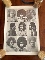 Unieke poster: Fiji hairstyle mannen + lijst, Ophalen of Verzenden, Nieuw, Foto of Poster, Minder dan 50 cm