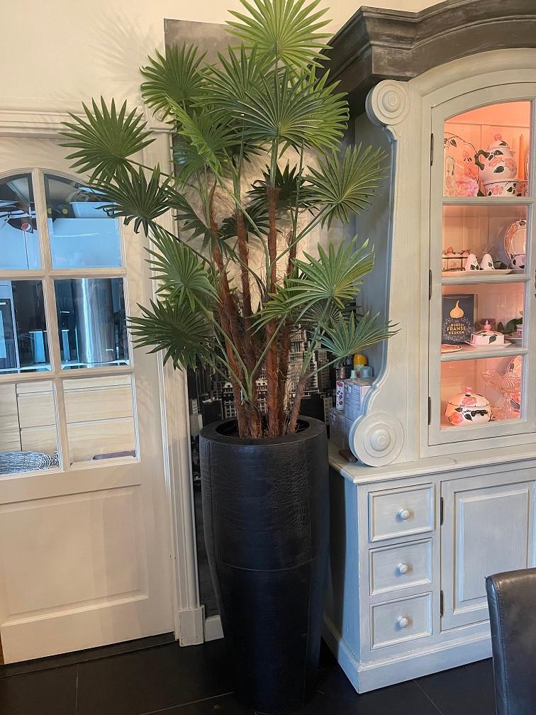 NIEUWE HOGE KUNST PALMBOOM KUNSTBOOM ESDOORN, Huis en Inrichting, Woonaccessoires | Kunstplanten en Kunstbloemen, Ophalen, Binnen