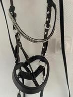 Bitloos hoofdstel, Dieren en Toebehoren, Paarden en Pony's | Hoofdstellen en Tuigage, Ophalen of Verzenden, Zo goed als nieuw