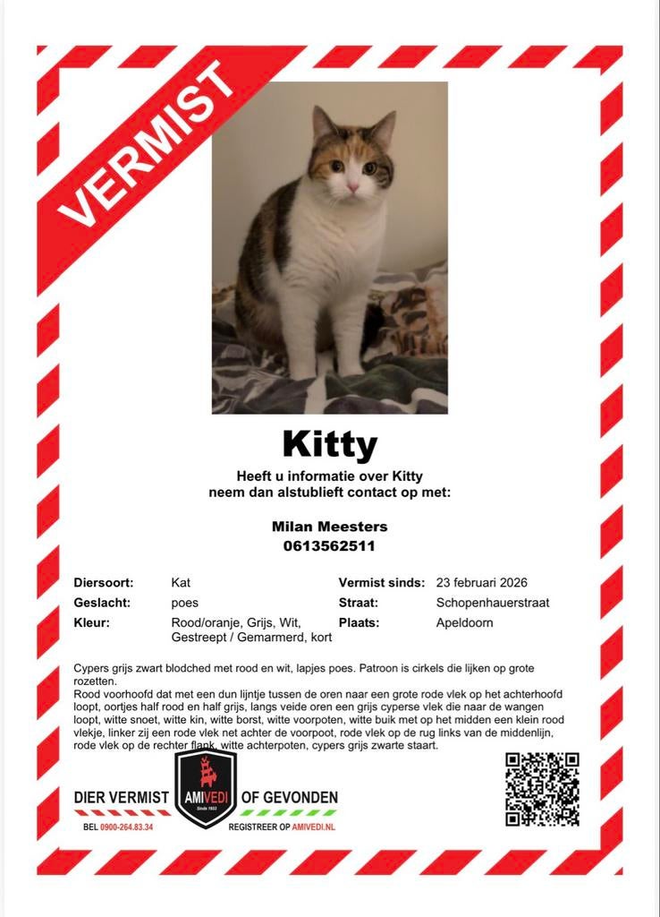 Mijn allerliefste poes is vermist!, Kat