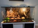 Terrarium 100x60x50 (lxhxb), Ophalen, Zo goed als nieuw, Terrarium of Paludarium