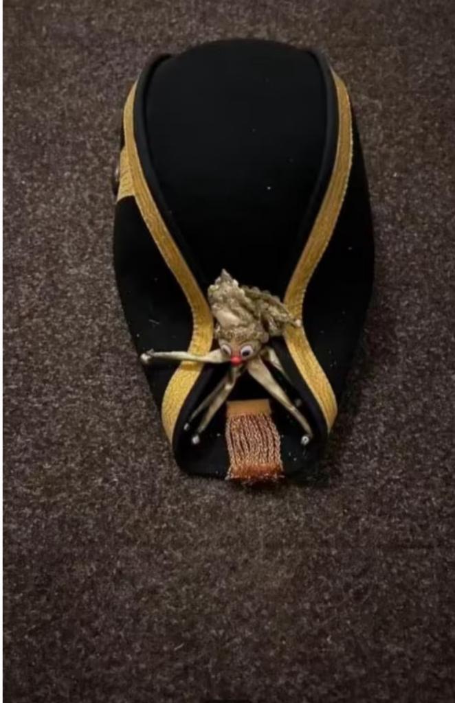 Lakei hoed (carnaval), Kleding | Heren, Carnavalskleding en Feestkleding, Ophalen, Zo goed als nieuw, Overige maten