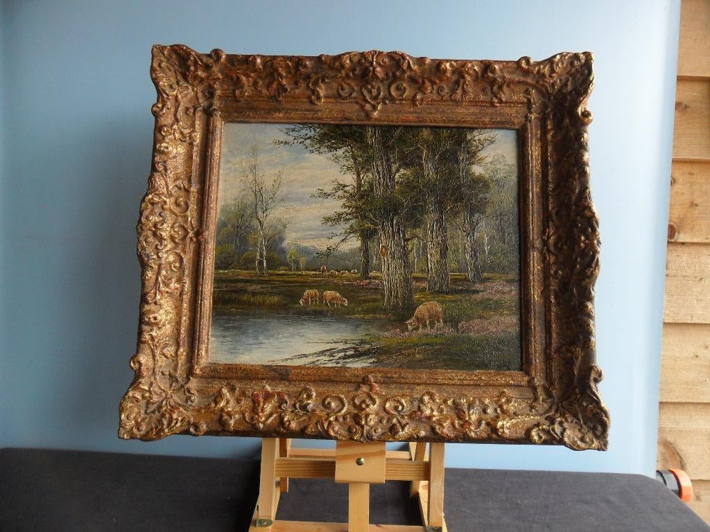 Schilderij met landelijk tafereel met schapen, Ophalen of Verzenden