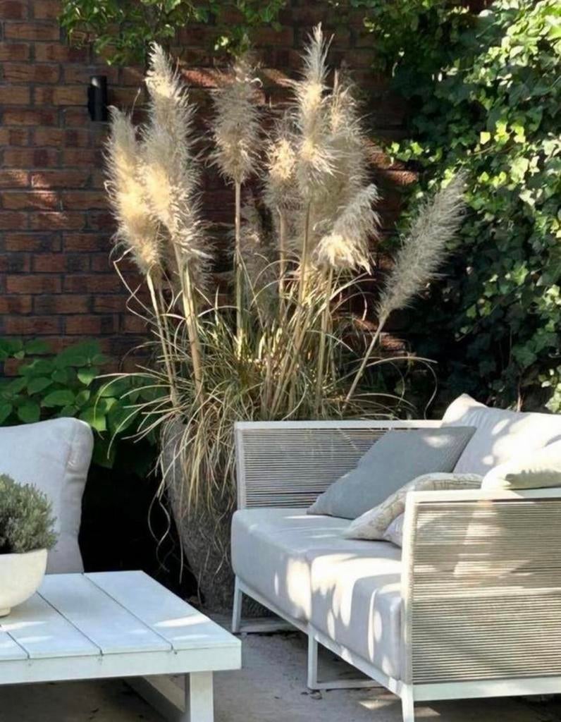 Borek tuinbank, Ophalen, Zo goed als nieuw, Overige materialen