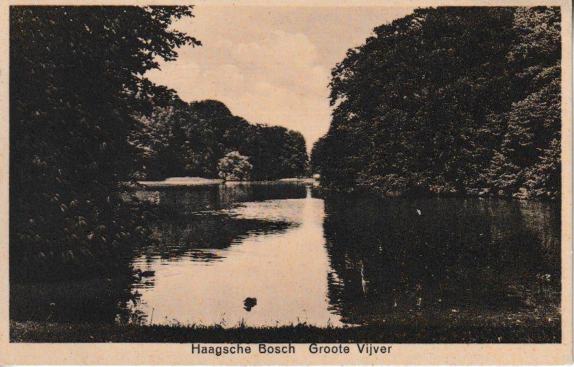 DEN HAAG - HAAGSCHE BOSCH / GROOTE VIJVER, Verzamelen, Ophalen of Verzenden, 1940 tot 1960, Ongelopen, Zuid-Holland