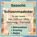 Huishoudelijke hulp gezocht (Ladies only), Overige niveaus, Overige vormen