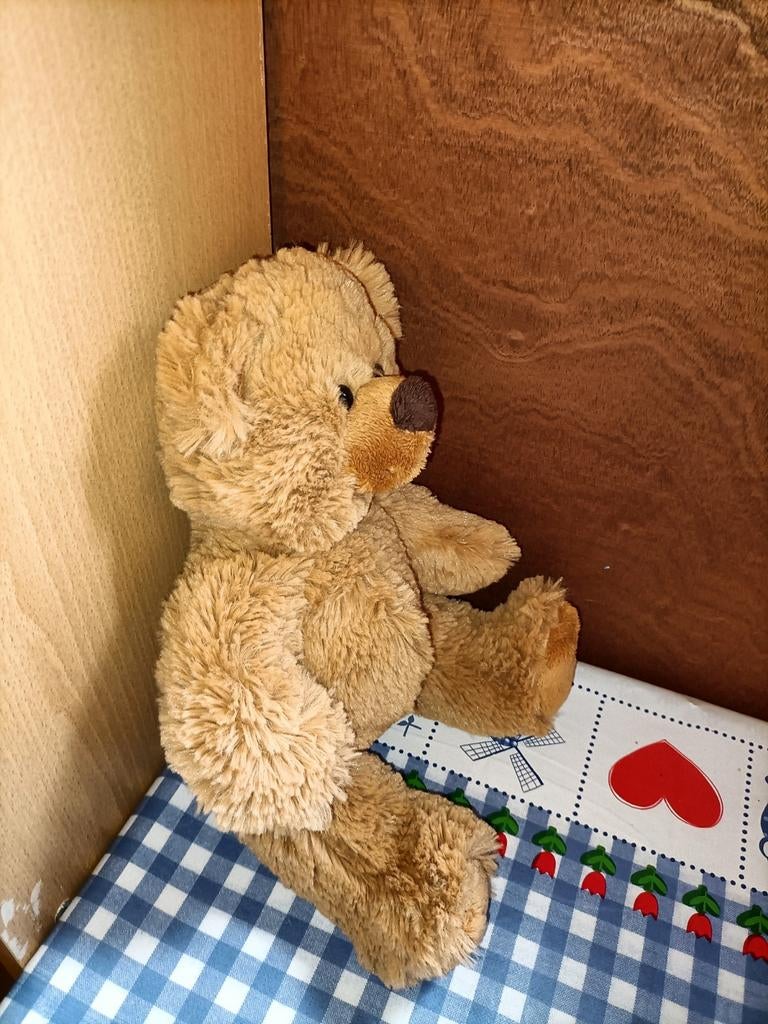 Beer knuffel Anna Club Plush 30 cm groot, Kinderen en Baby's, Speelgoed | Knuffels en Pluche, Ophalen of Verzenden, Zo goed als nieuw