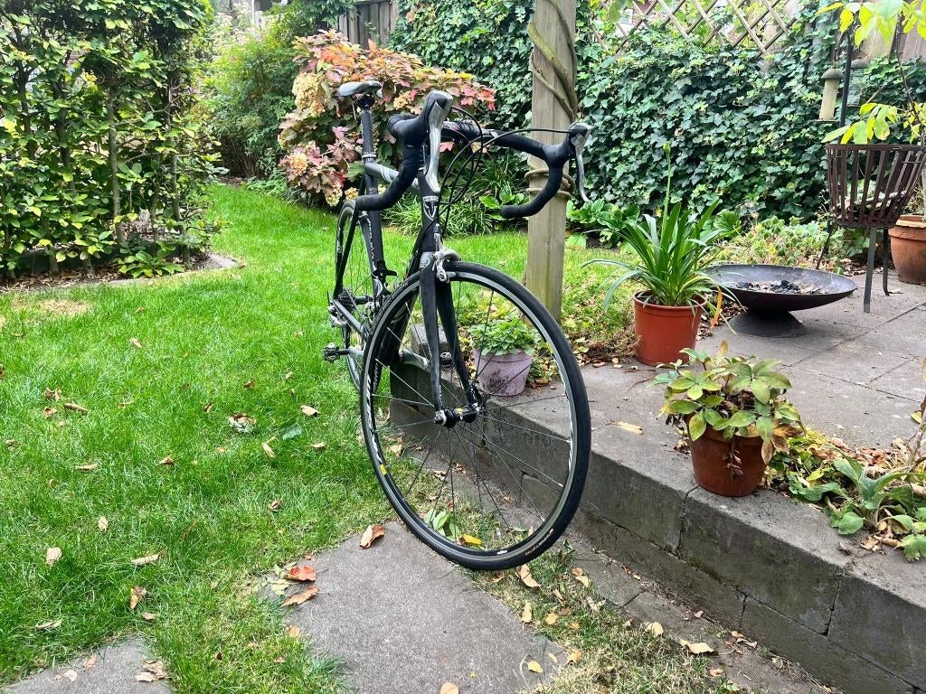 Red Bull Pro SL 54cm | Ultegra | DT Swiss P1800, 28 inch, Gebruikt, Heren, Aluminium
