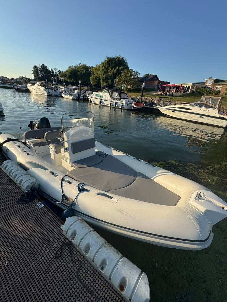 Tiger marine rib 600 inc suzuki 115pk 40 vaar uren!