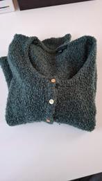 Bindi vestje dames petrol, Maat 42/44 (L), Ophalen of Verzenden, Zo goed als nieuw, Bindi