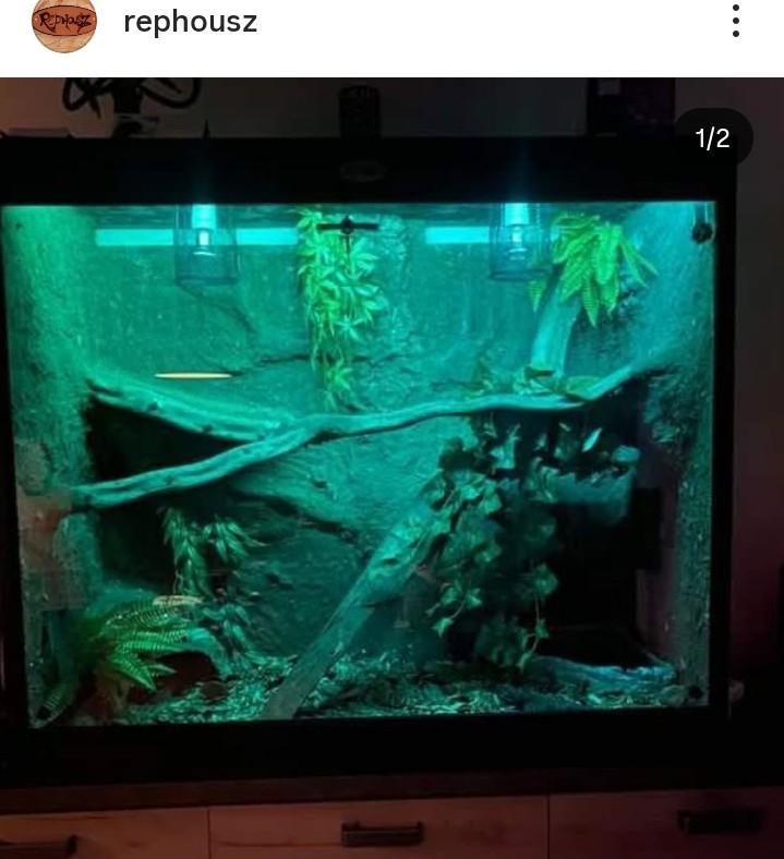 Osb3 terrarium RepHouSZ. Ook maatwerk, Ophalen, Nieuw, Terrarium of Paludarium