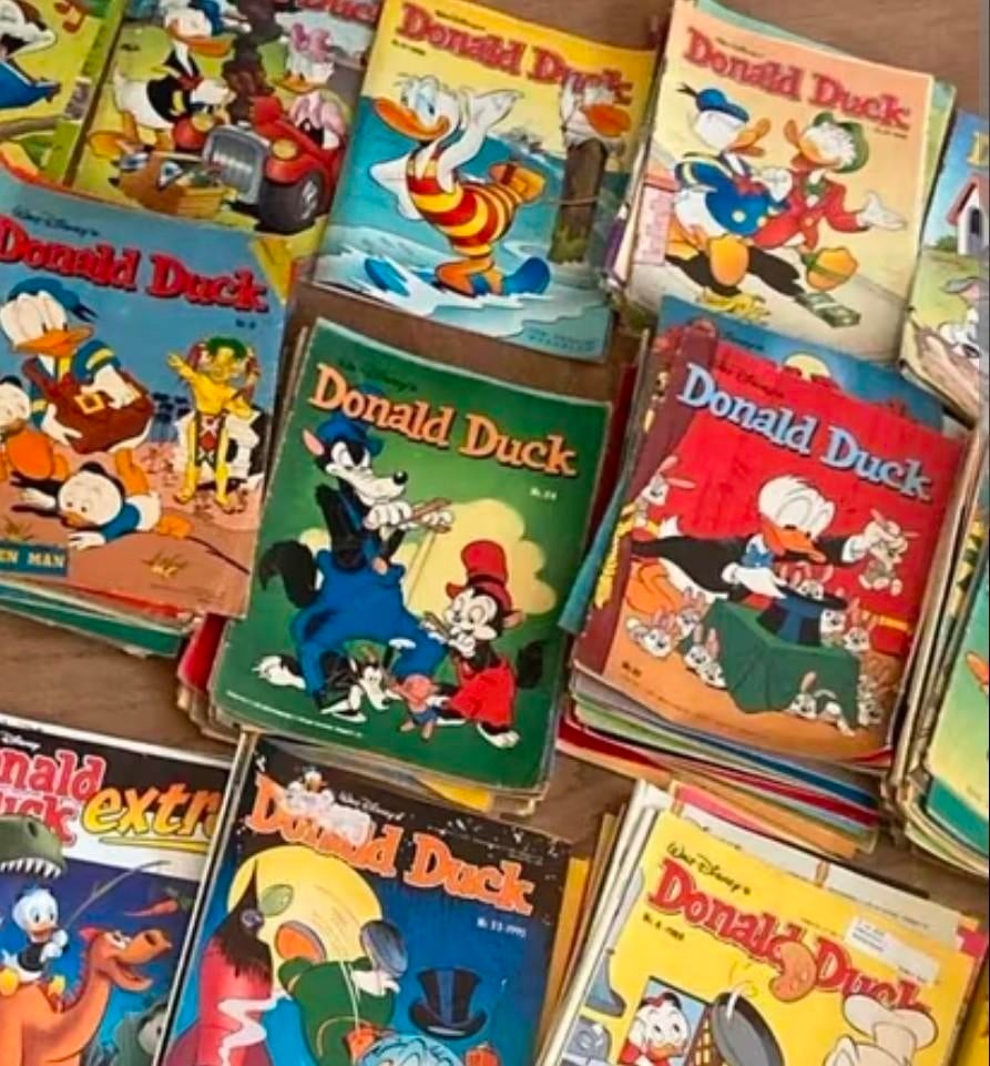 GEZOCHT: stapel Duckies die we gratis mogen ophalen?, Boeken, Ophalen, Gelezen