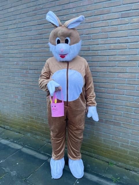 leuke paashaaskostuums te huur in bruin of roze nog aantal, Ophalen of Verzenden, Zo goed als nieuw, Pasen