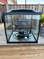 Aquarium, Ophalen of Verzenden, Zo goed als nieuw, Leeg aquarium