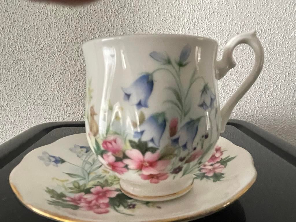 Royal Albert Bone China kop en schotel, Gebruikt, Ophalen of Verzenden, Overige stijlen, Kop(pen) en/of Schotel(s)