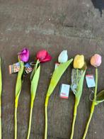 Decoratie tulpen, Ophalen, Nieuw