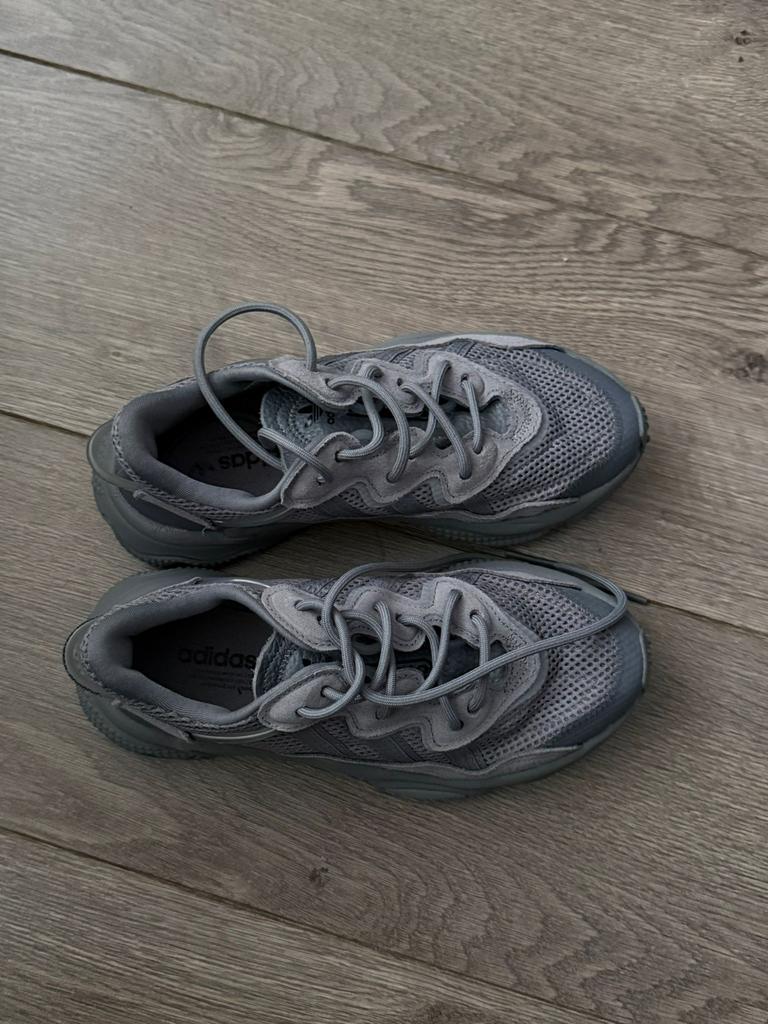 Adidas Ozweego maat 36 Nieuw, Kinderen en Baby's, Kinderkleding | Schoenen en Sokken, Nieuw, Ophalen of Verzenden, Jongen of Meisje