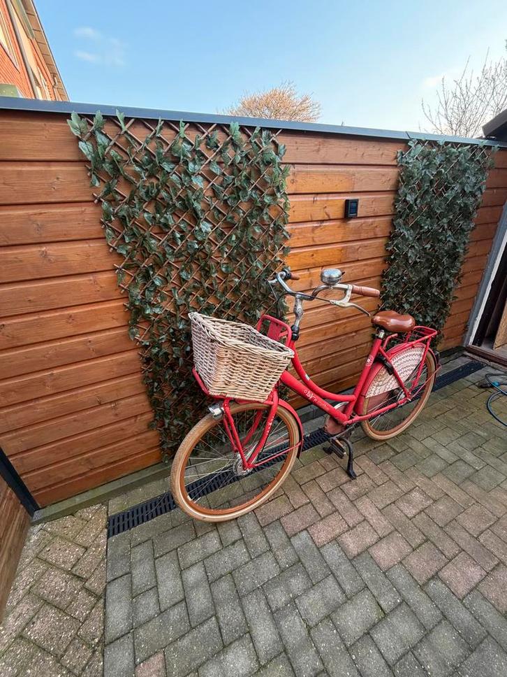 Cortina Lief fiets - met mand, Fietsen en Brommers, Fietsen | Dames | Damesfietsen, Gebruikt, Overige merken, Versnellingen, 50 tot 53 cm