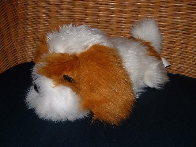 ARTLIST INTERNATIONAL HOND MET GROOT HOOFD. ZACHTE, Ophalen of Verzenden, Nieuw, Overige typen