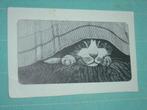 25) Zwart-wit ansichtkaart Poes, Ophalen of Verzenden, 1980 tot heden, Gelopen, Hond of Kat