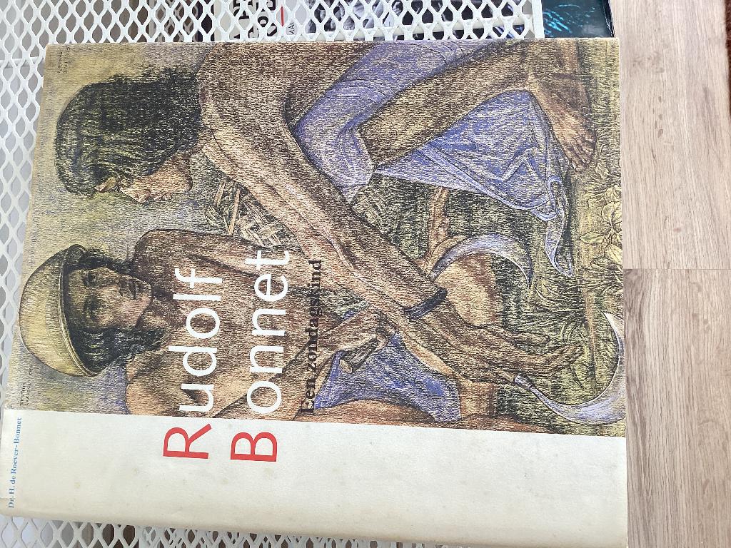 Een zondagskind, Boeken, Ophalen of Verzenden, Zo goed als nieuw, Schilder- en Tekenkunst, Dr. H.Roever-Bonnet