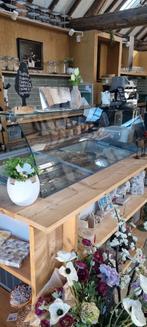 schepijsvitrine Tenerife - 10 ijsbakken van 5 liter, Ophalen, Gebruikt, Koelen en Vriezen