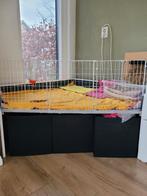 Cavia hok/kooi voor binnen, Ophalen, Kooi, 60 tot 90 cm, Cavia