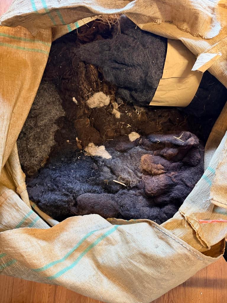 Schapenwol van 1 schaap incl. viltwol - Zelf vilten, Ophalen, Wol, Overige kleuren, 120 cm of meer