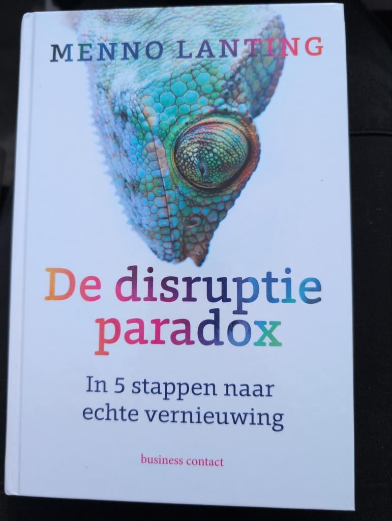 De disruptie paradox - Menno Lanting, Ophalen of Verzenden