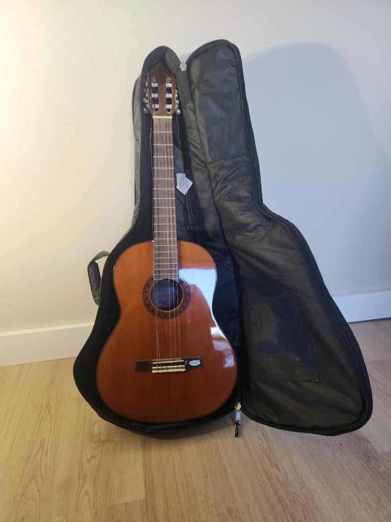 Akoestische gitaar met hoes, Muziek en Instrumenten, Snaarinstrumenten | Gitaren | Akoestisch, Ophalen, Gebruikt, Klassieke of Spaanse gitaar