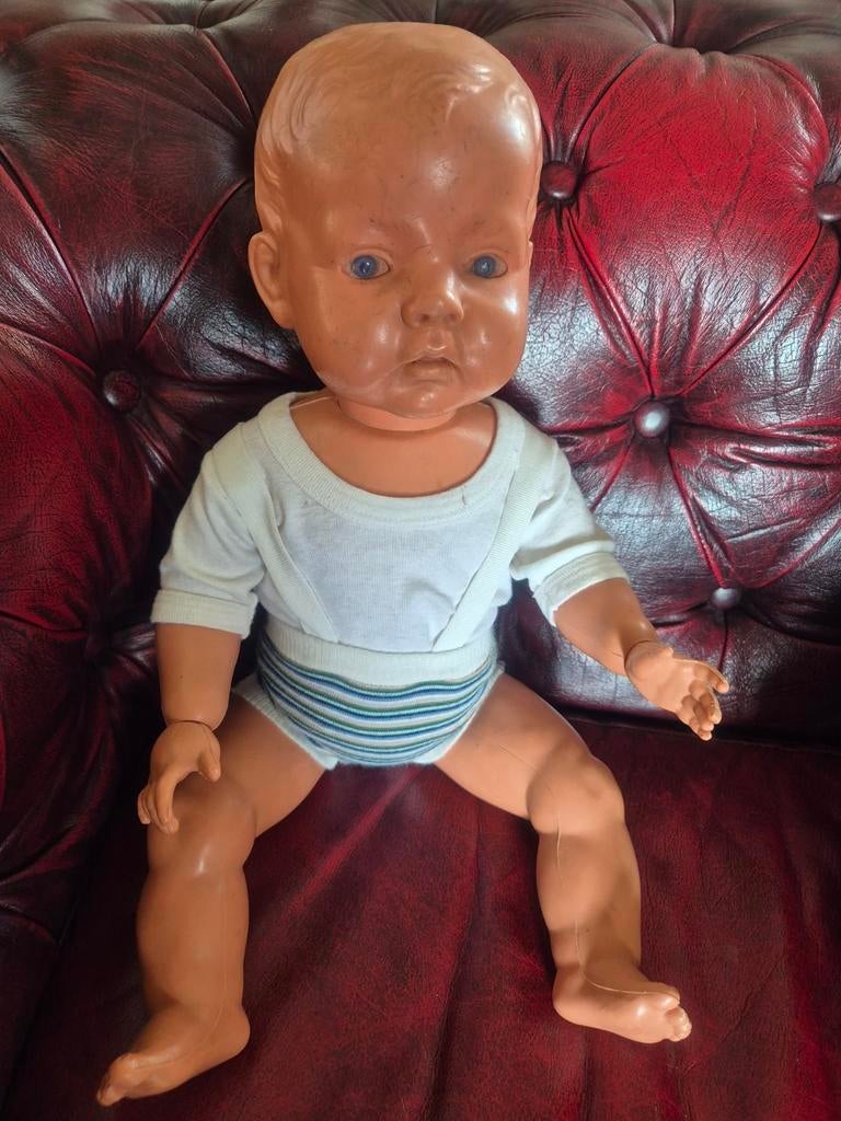 wildebras jongen, Ophalen of Verzenden