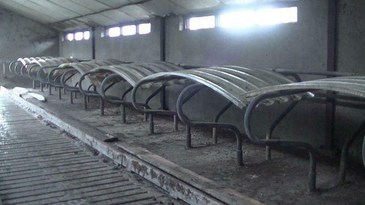 🌈Polyester golfplaten / dak-platen / golfplaat 220 x 107 cm, Doe-het-zelf en Verbouw, Dakpannen en Dakbedekking, Gebruikt, Overige typen