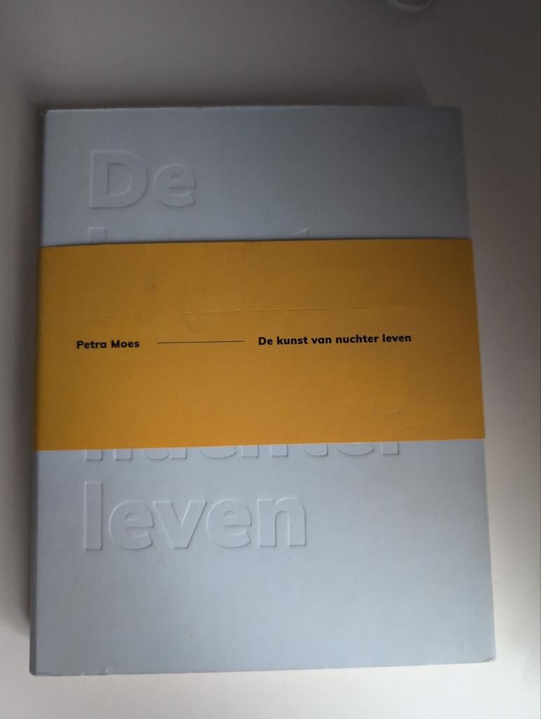 De kunst van nuchter leven - Petra Moes, Ophalen of Verzenden, Zo goed als nieuw